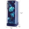 LG 235 L 4 Star Inverter Direct-Cool Single Door Refrigerator (Blue Charm) - Image 9